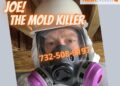 Basement Mold Remediation: A Vital Step for a Safer Home