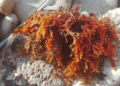 Is Sea Moss the Next Big Thing in Health?