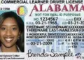 Understanding the Risks and Realities of Fake IDs: What You Need to Know
