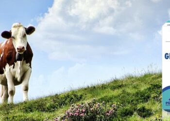 Why Choose a Leading Veterinary Medicine Company is Crucial